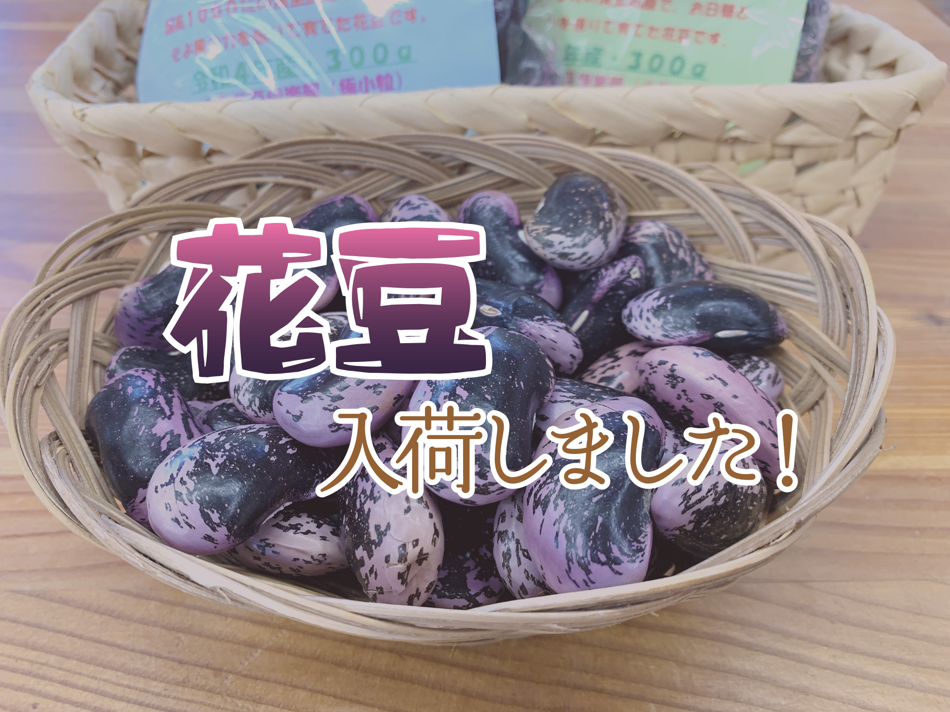清里産の花豆